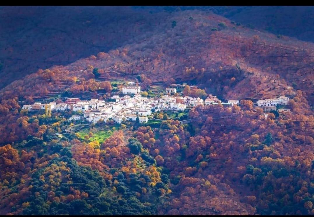 Casa Rural "La Casita" Pujerra 외부 사진