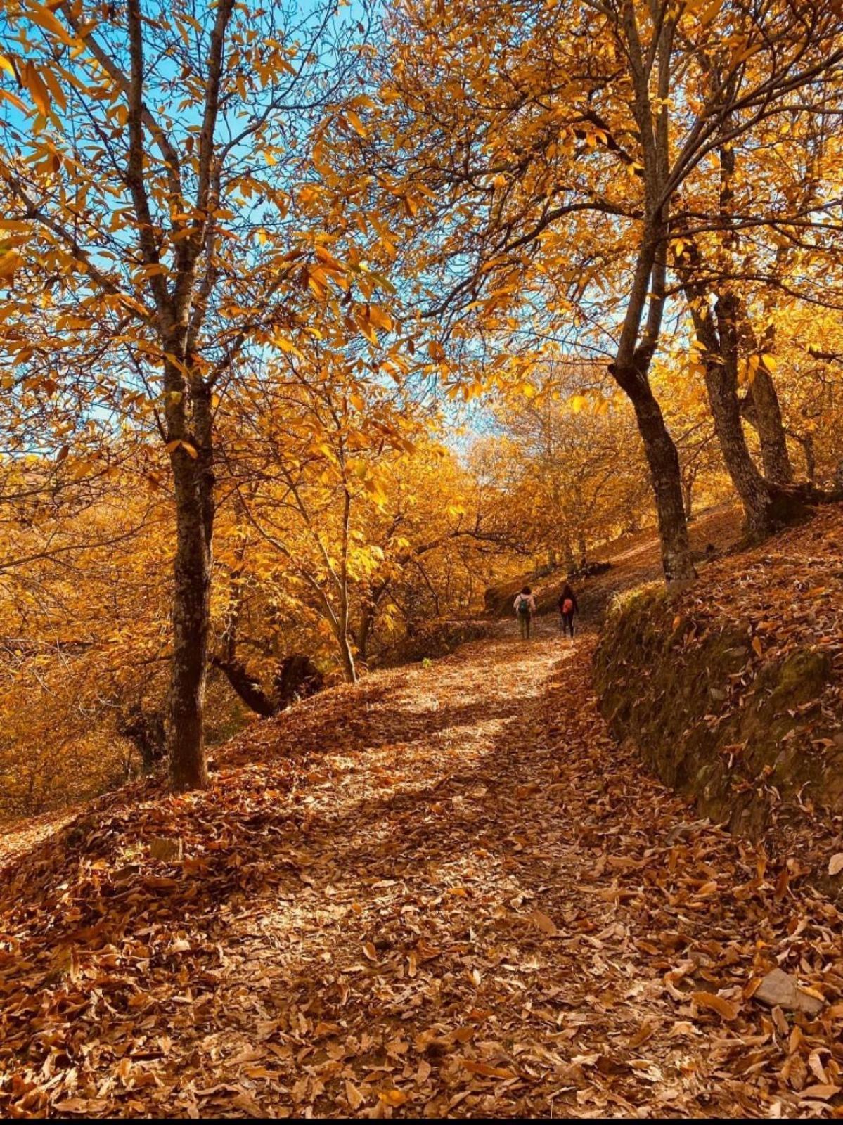 Casa Rural "La Casita" Pujerra 외부 사진